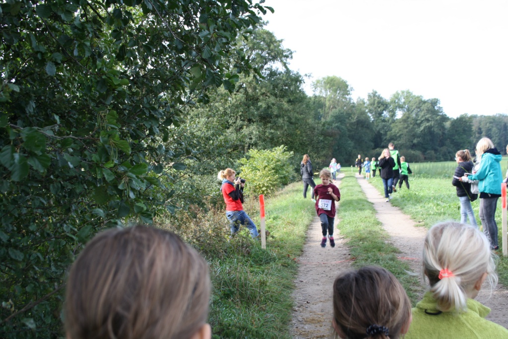 Bild 1 (42)